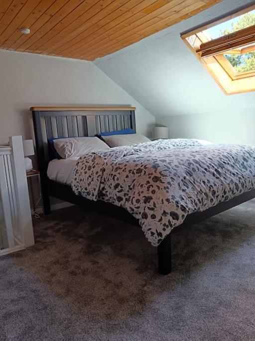 Apartamento Dingle Escape -2 Bed -Sleeps 4 Exterior foto